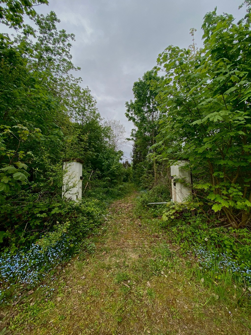 Prolog – Bad&nbsp;Sachsa