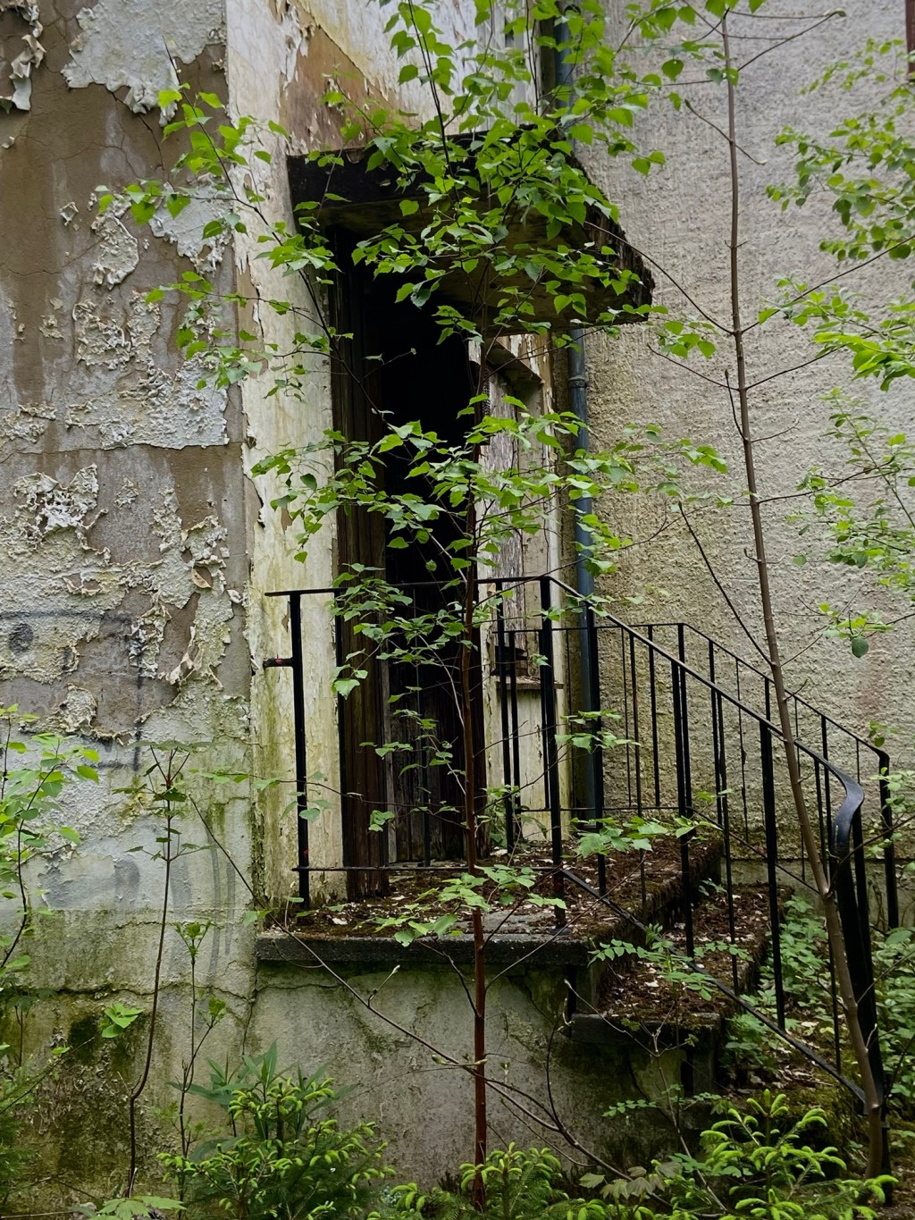 Bad Sachsa –&nbsp;Bergfrieden