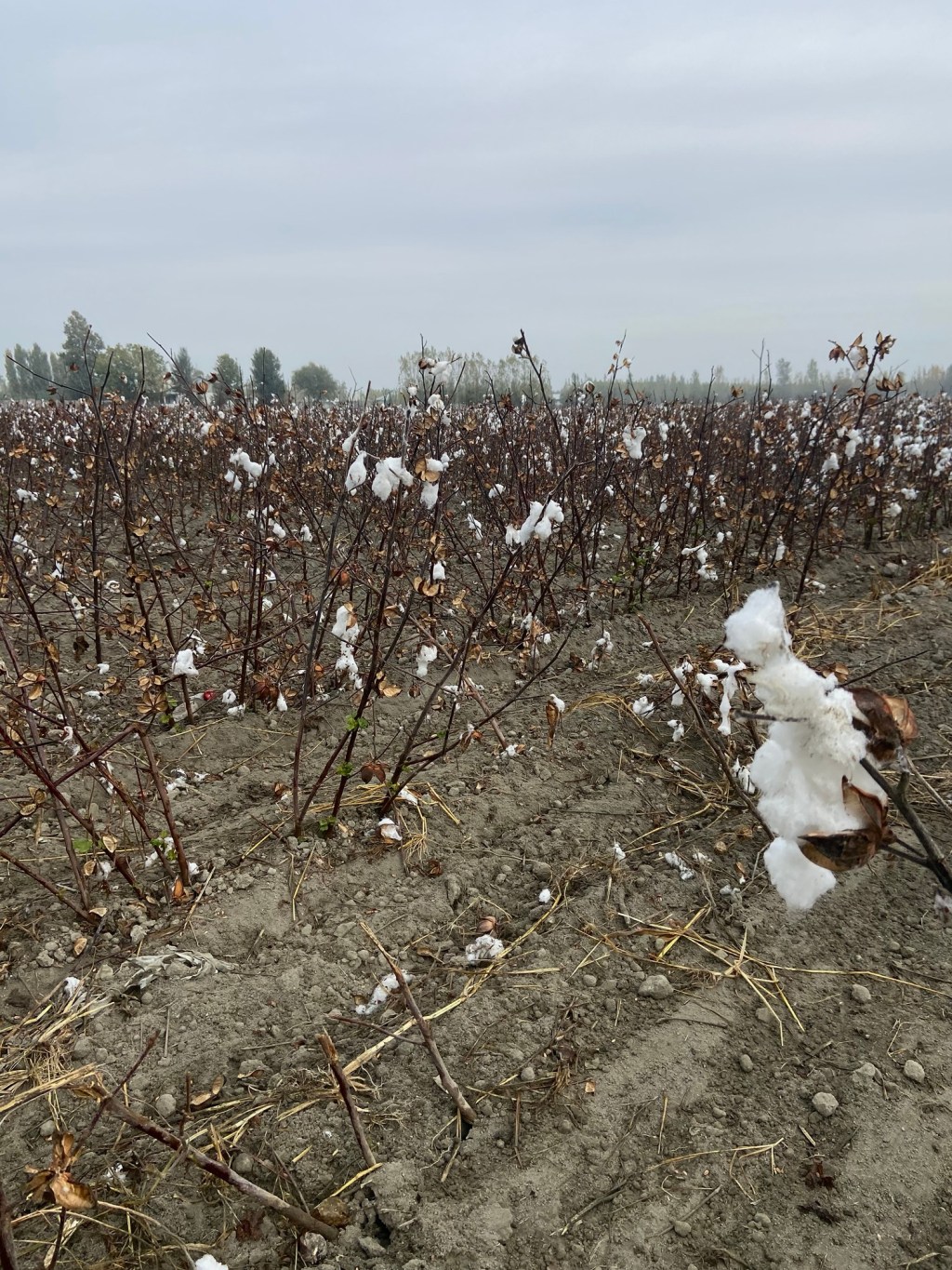 Usbekistan – Tag&nbsp;5